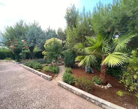 Villa Adelaide Ceglie Messapica Kültér fotó