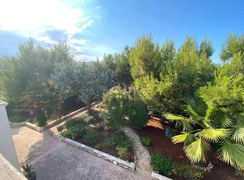Villa Adelaide Ceglie Messapica Kültér fotó
